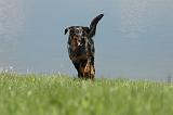 BEAUCERON 620